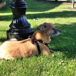 Meet your Posher, Julie